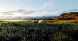 Netnámskeið um hvernig við fæðum framtíð Evrópu